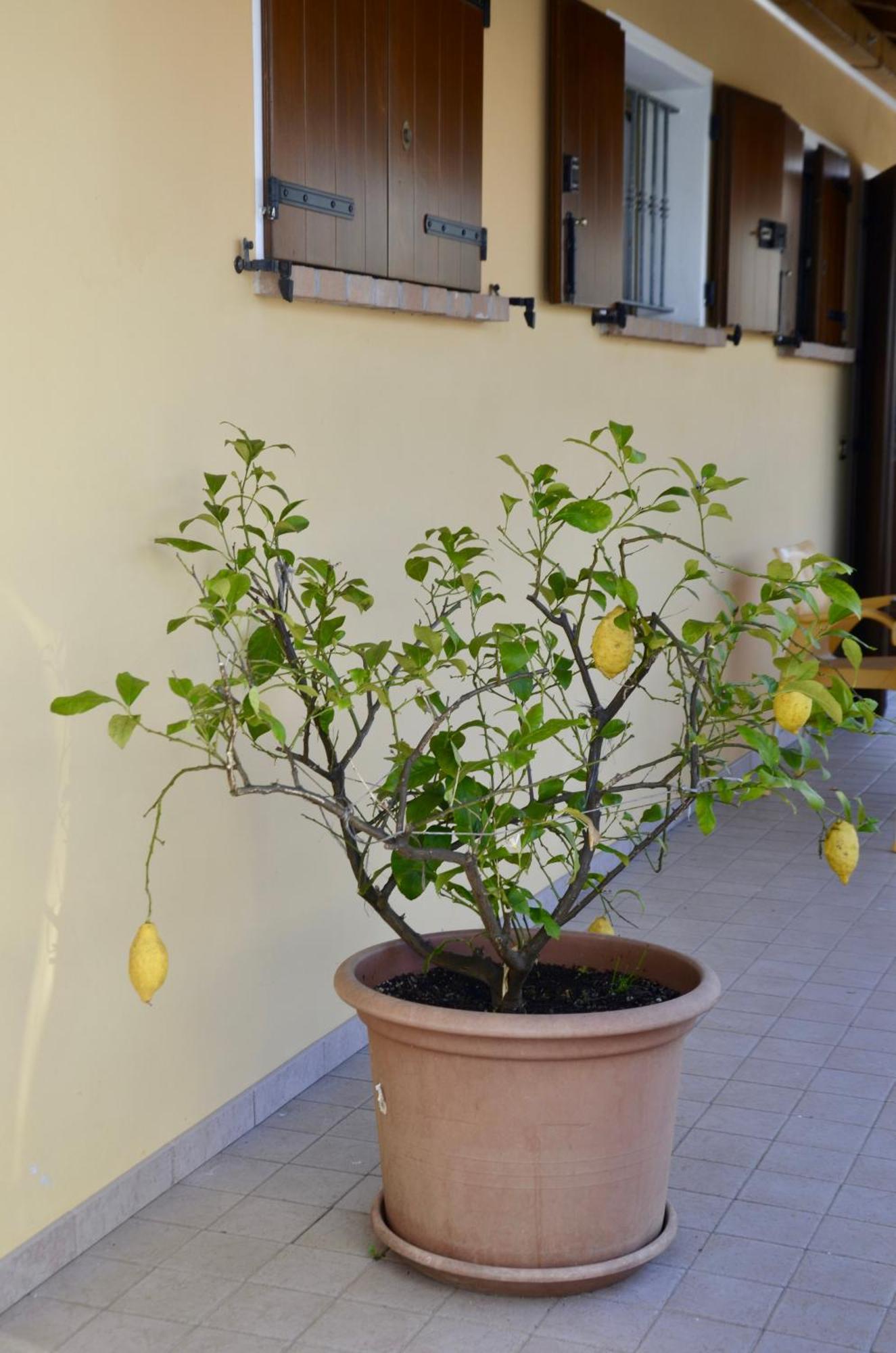 A Casa Di Amici Βίλα Vidor Εξωτερικό φωτογραφία